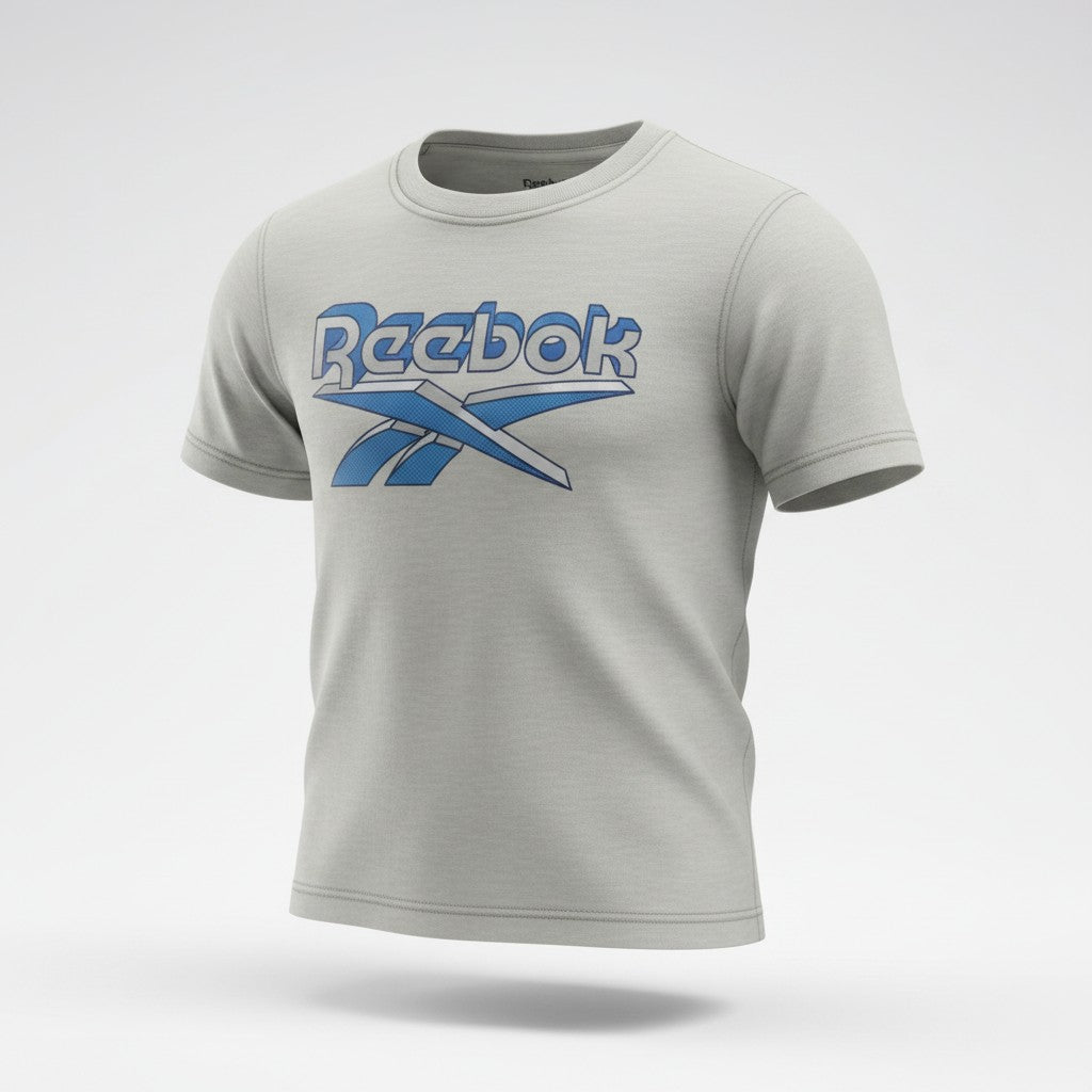 Reebok Toddler Graphic & Performance T-Shirt 2-Pack – Blue & Gray | Size 2T