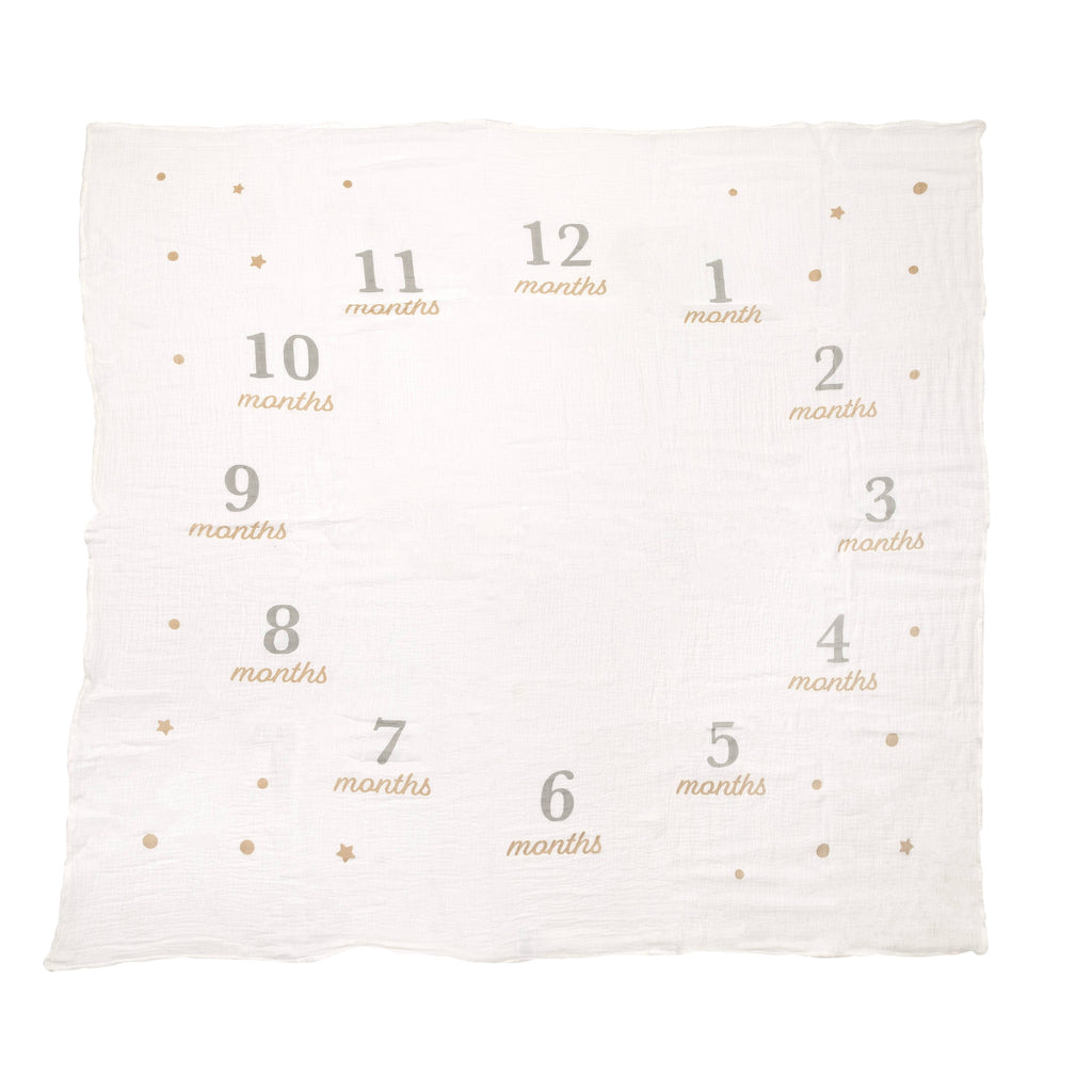 Milestone Blanket & Prop Set Kit, Infant Milestone Markers